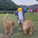 문화공간아리랑 | 밀양 아랑제 가볼만한곳｜밀양아리랑 주제관 전시 솔직후기