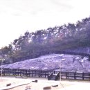 공룡화석지 이미지