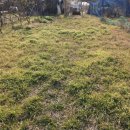 승모농장 이미지