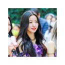 비트 가든파이브점