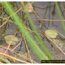 선흘 그곳 이미지