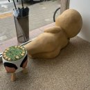 📍강릉 소품샵 투어 6곳(삶은감자, 오어즈, 유라유라, 산소울, 이발소, 유리알유희)