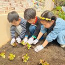 동백유치원 이미지