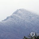 눈꽃피다
