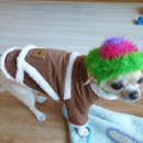 하길문화공원 이미지