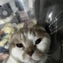 두류동물병원 이미지