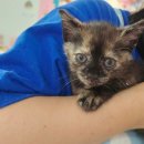 프리펫시티 이미지