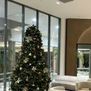 아모라 | 호주 브리즈번 숙소 추천 아모라브리즈번 호텔 솔직 후기