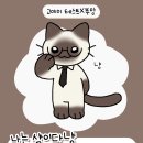 고야미 이미지