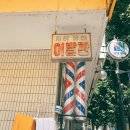 동강이발관 | 영월 1박2일