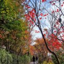 세무법인일신 - 시흥시 엠티브이북로 21-16 | 세무법인일신