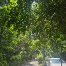 CU대전가오중앙점 편의점 앞 | [중앙아시아] 여자 혼자 카자흐스탄-우즈베키스탄 12박 13일 자유여행 - 알마티(4)알마티 시내 / 알마티...