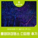 경상남도 수산안전기술원 | 통영 야경명소 디피랑 후기 아이와 함께 가기 좋은 밤 산책 코스