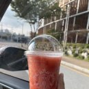 고인돌세차장 | 🏖 내 차 타고 제주도가기 ::완도에서 제주도 도착까지 상세후기+실버클라우드 특등실(2인)::