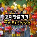 호이안 올드타운낮과 밤 패키지 여행 솔직후기｜야경·소원배·입장권 핵심 정보 (씨클로 비교)