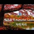 송파나루공원(석촌호수) 이미지