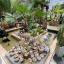 지니어스관광농원 이미지