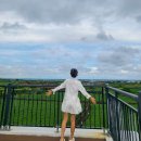 우도고래펜션 이미지