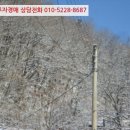 서현임업
