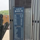 [여수 호텔] 오션뷰 수영장, 히든베이 호텔 객실 및 수영장 솔직후기 🌊🏊
