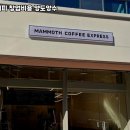 매머드커피 - 성남시 분당구 분당내곡로 117 | 매머드커피