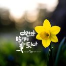 캘리그라피(야간) 이미지