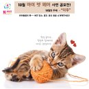 케이펫페어 제 8회 일산킨텍스에서 열립니다!