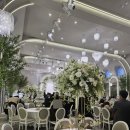 작은솔 | 용인 솔스퀘어컨벤션 투어 후기 (견적 공유)