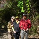 줌마렐라 이미지