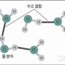 (주)신원문화사