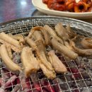 자갈치꼼장어 | 대전비래동맛집 수정자갈치꼼장어 솔직 방문 후기