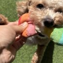 다우리유치원 이미지