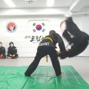 을지관 드림합기도 Daum카페