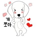 디스크 독 연구소 이미지