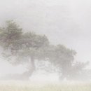 소나무정형외과의원 이미지