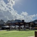 외도339 제주 애견동반 브런치 카페 '<b>외도</b><b>339</b>‘ | 공항근처 마지막날 코스 추천