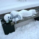 강남-251 이미지