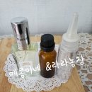 향소농장 네이버블로그