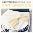 좋은카용품 이미지