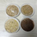 (주)바이오사료연구소 | 강아지 수제사료 추천, 곡물무첨가 단백질별 맞춤 식단 후기