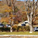 양지-2772 이미지