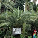 상가리농장 이미지