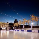 Banyan Tree Club&SPA Seoul Oasis 이미지