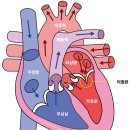 방주동물의료센터 이미지