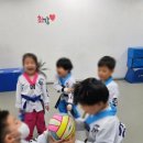 삼성체육도장 이미지