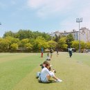 문화근린공원 이미지