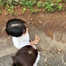 진도여라 이미지