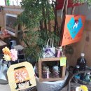 여우하품 이미지