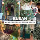 컵오브커피 원미2동점 | 크리스마스 시즌 메뉴가 있는 코코아바, 부산 서면 전포동 트리 카페 컵오브조이