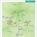 250 이미지